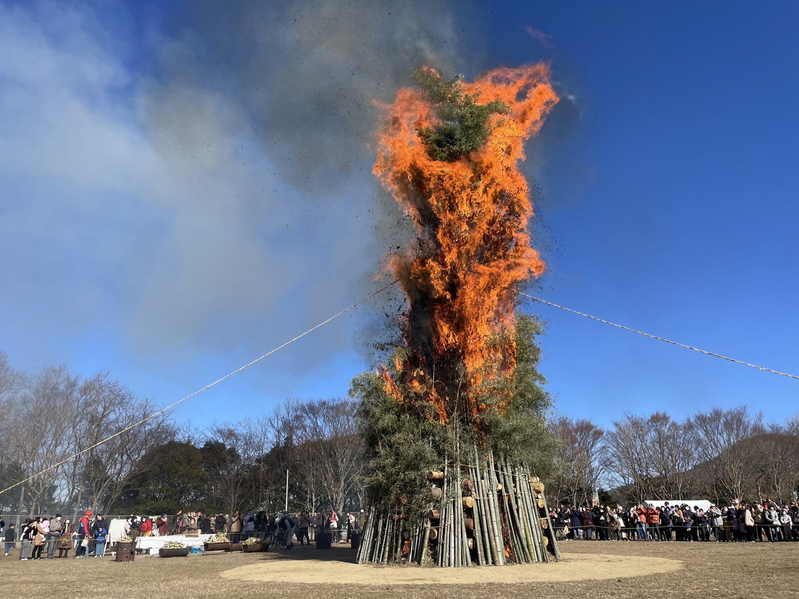神戸森林植物園で「とんどやき」2025年1月開催!鎮魂と安全祈願