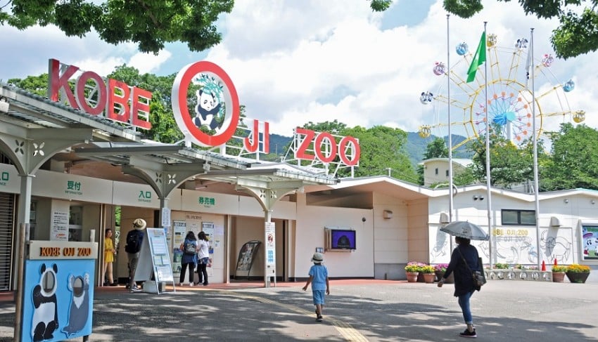 王子動物園:2026年カレンダー、新年3日間先着プレゼント!