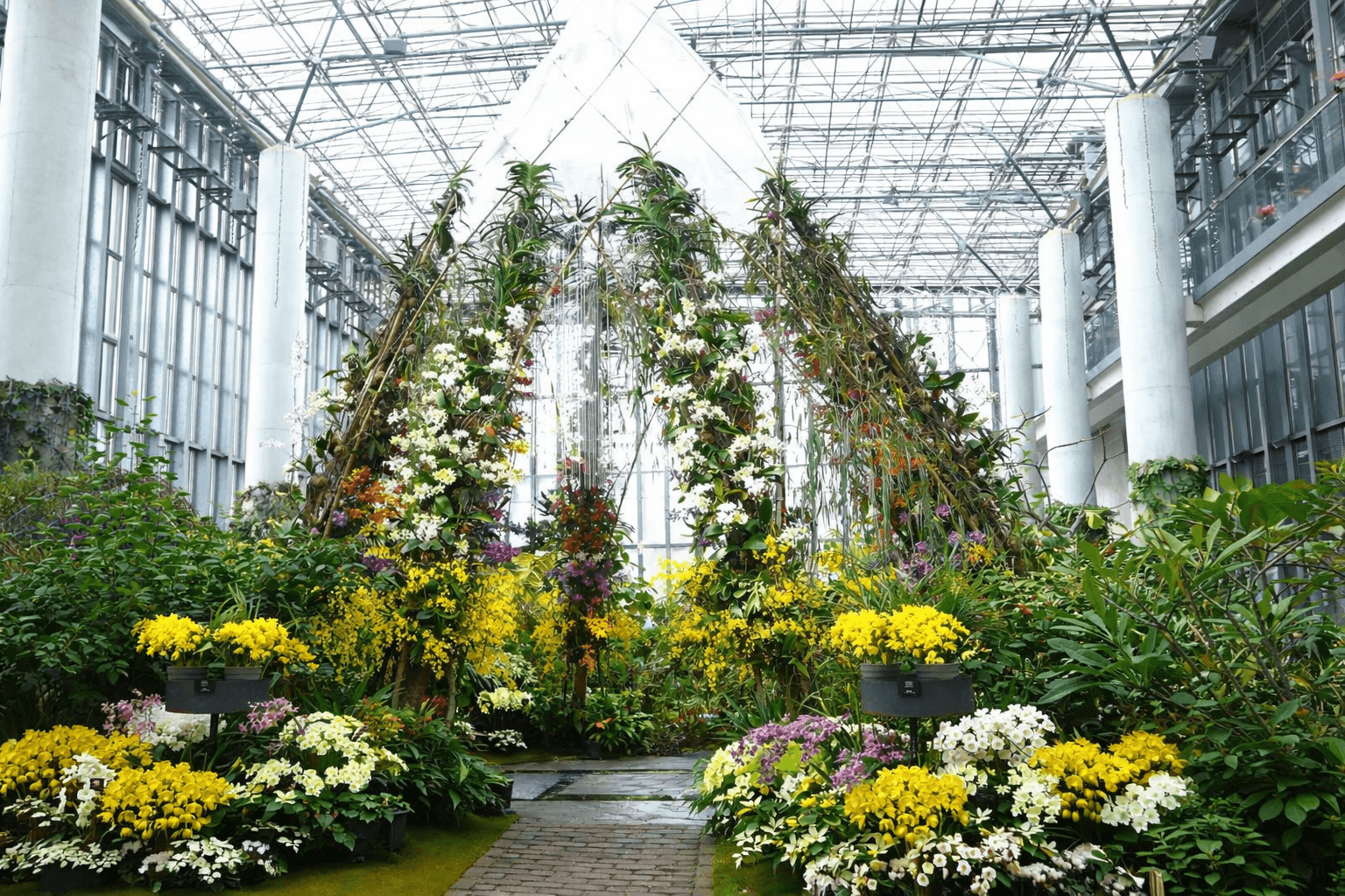 淡路夢舞台で蘭の祭典!グランドニッコー淡路宿泊プランで優雅な滞在を