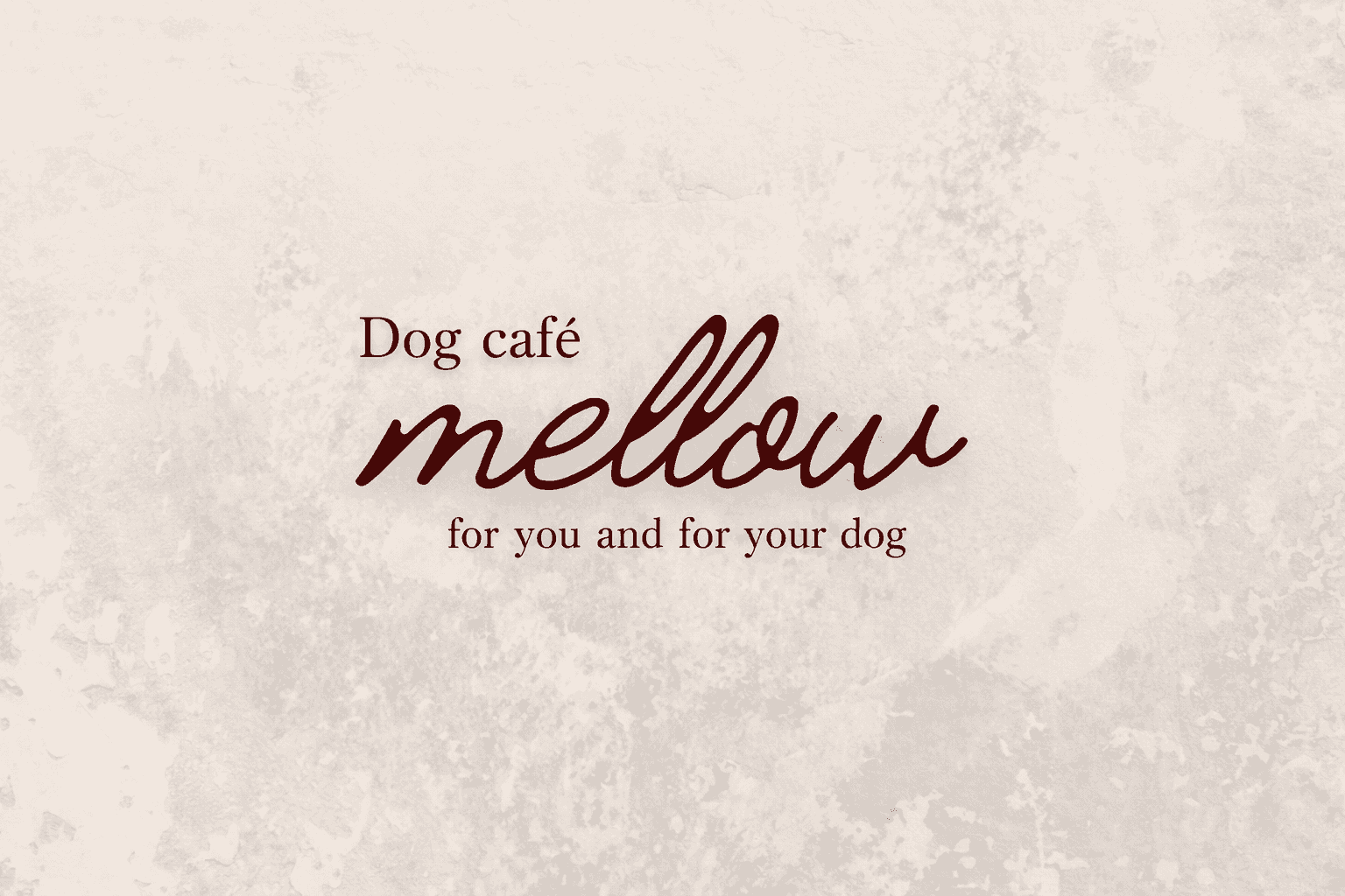 神戸三宮ドッグカフェ「mellow」3/5開店!愛犬とセイロ蒸し&自家製豆腐