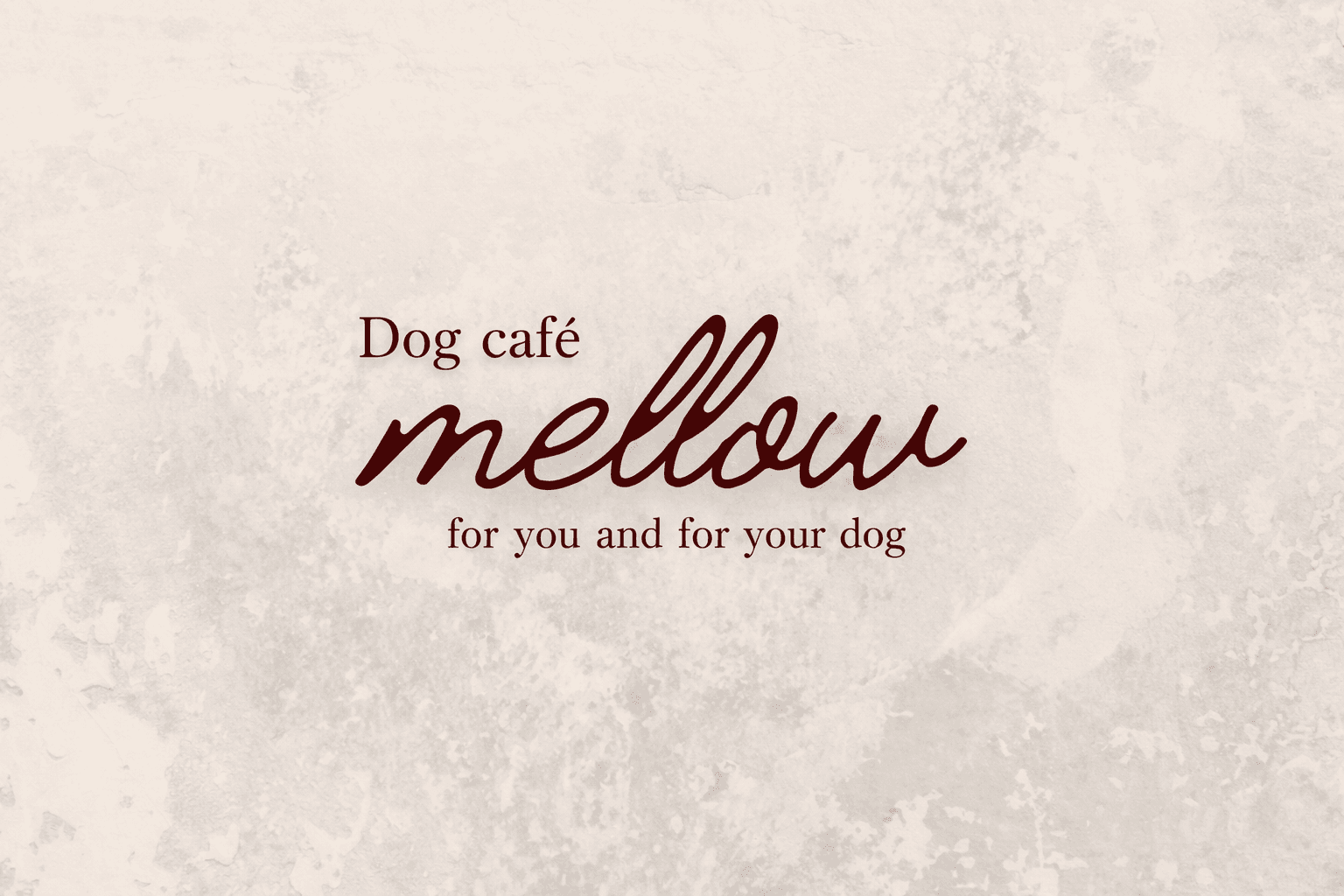 神戸三宮ドッグカフェ「mellow」3/5開店!愛犬とセイロ蒸し&自家製豆腐