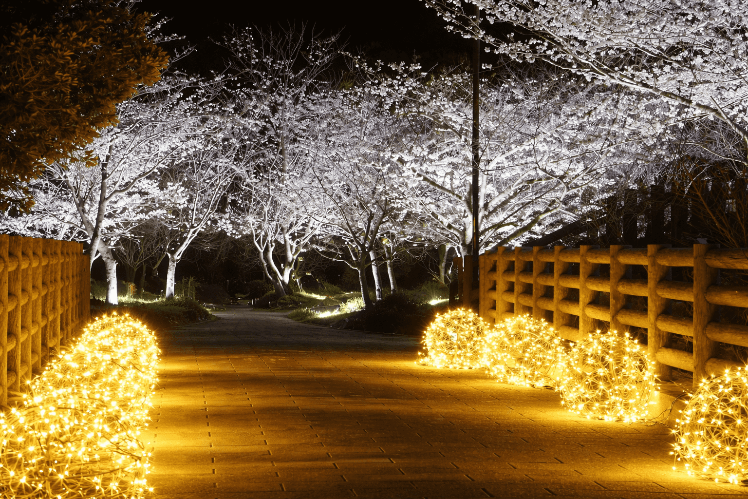 須磨浦公園で「敦盛桜2026」開催!海を彩る桜とグルメを満喫