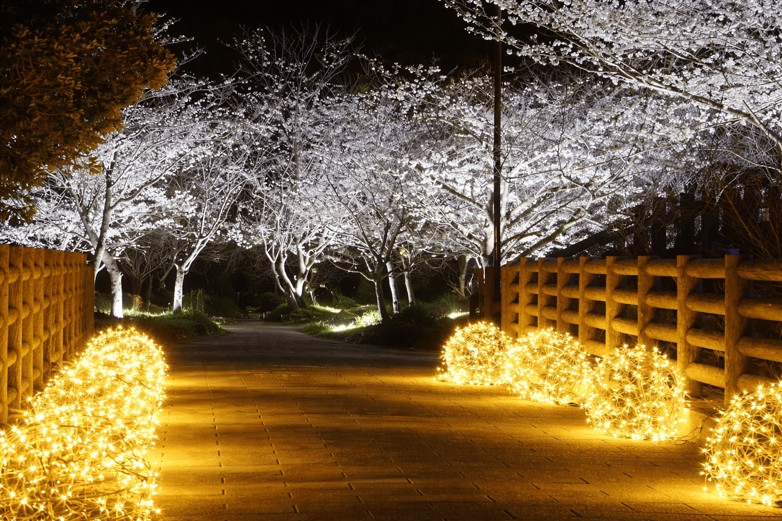 須磨浦公園で「敦盛桜2026」開催!海を彩る桜とグルメを満喫