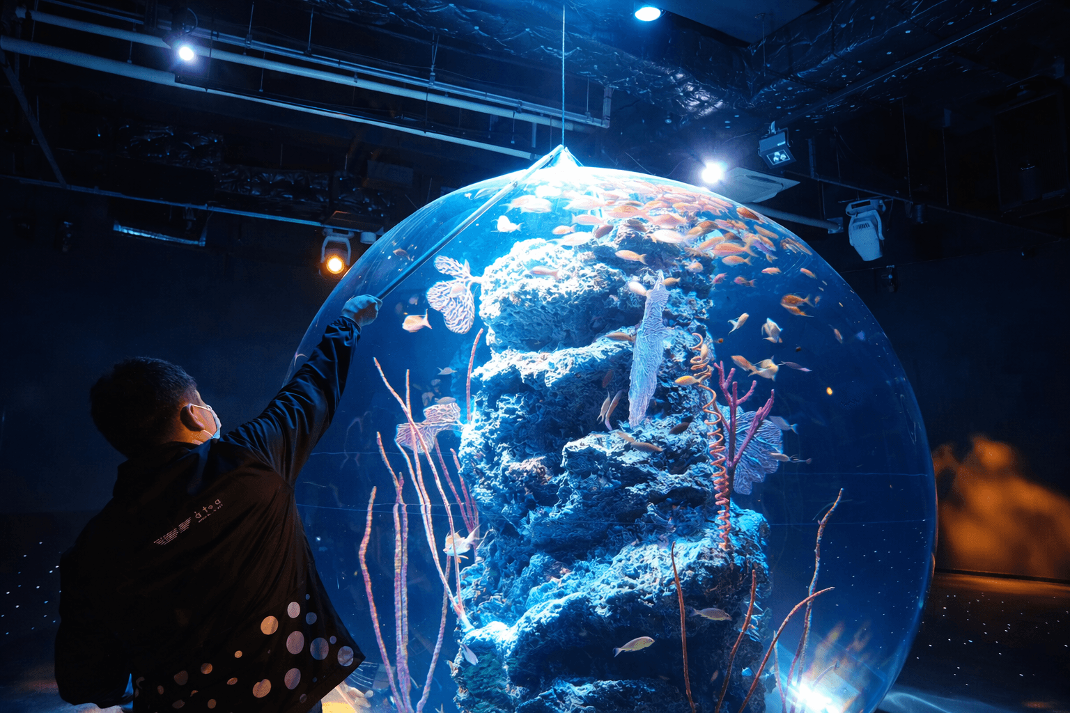 神戸アトアで飼育員体験!水族館の裏側へ