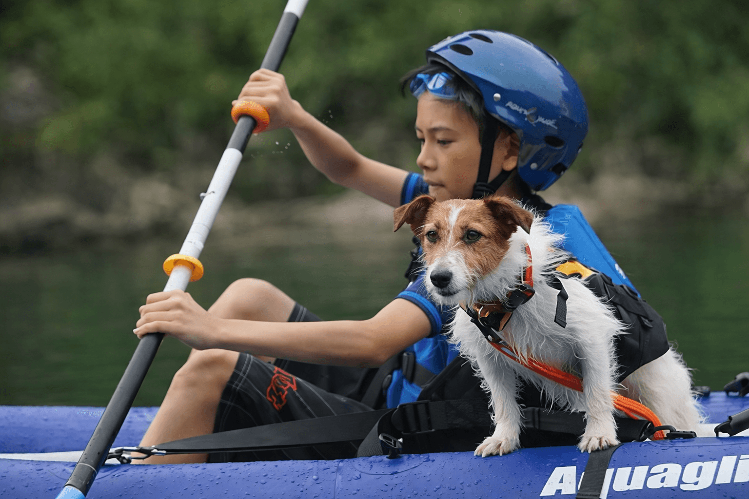 明石海峡大橋を望む!マリンピア神戸でモンベルカヤック体験、愛犬同伴も