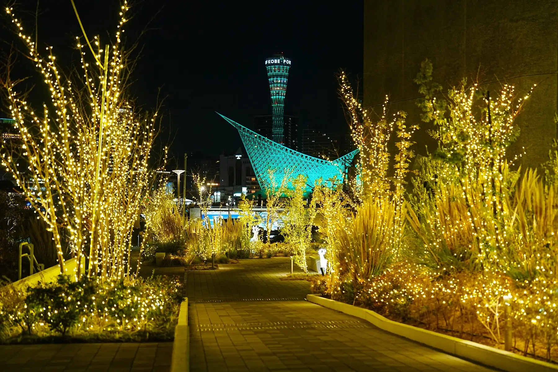 神戸新港町でクリスマス!ポートミュージアム巨大ツリー点灯のイメージ画像