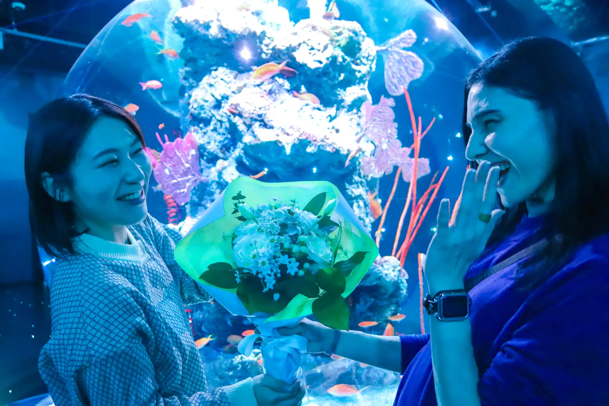 神戸新港町でクリスマス!ポートミュージアム巨大ツリー点灯のイメージ画像