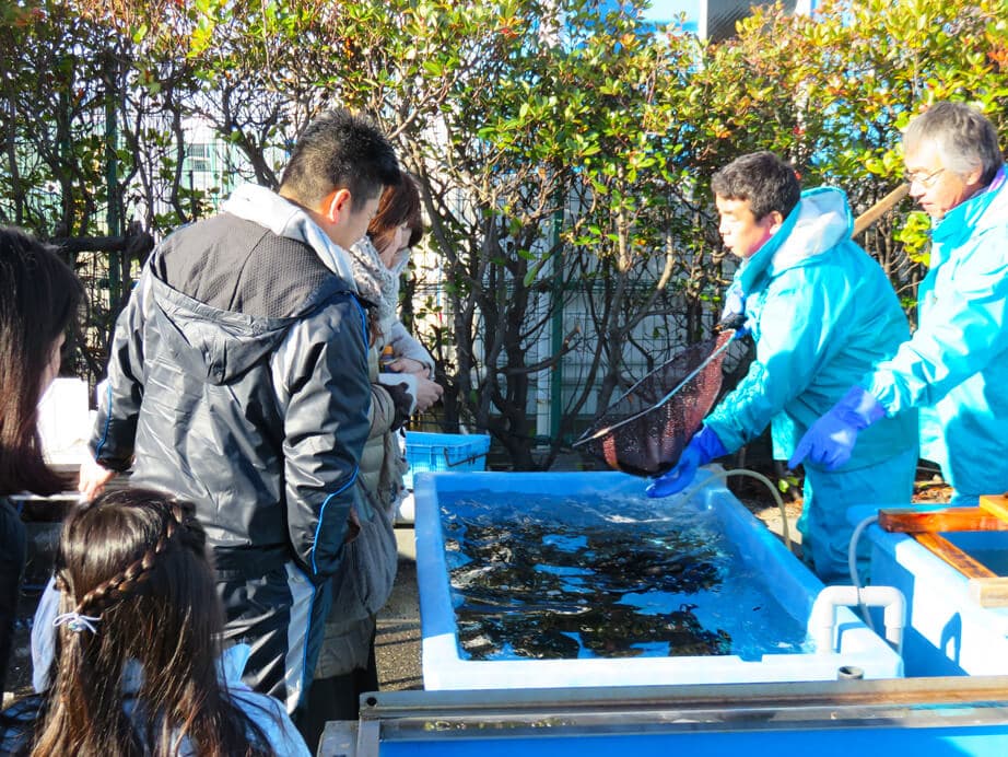 垂水平磯海づり公園年 末恒例「正月用活魚直売会」地元で新鮮な魚を!のイメージ画像
