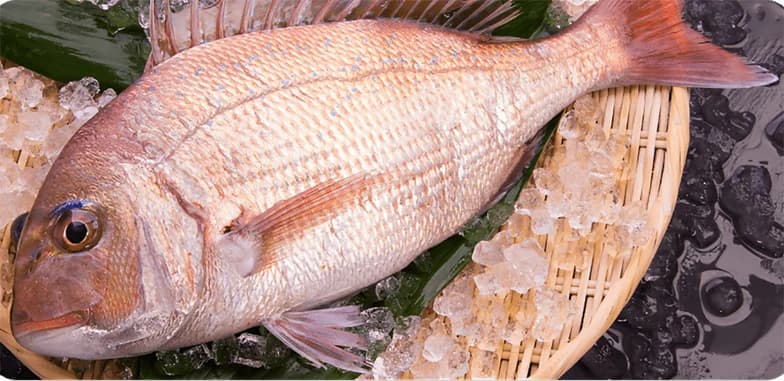 垂水平磯海づり公園年 末恒例「正月用活魚直売会」地元で新鮮な魚を!のイメージ画像