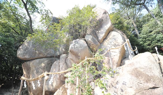 商売繁盛?厄除け?阪神間エリア目的別 初詣スポット10選のイメージ画像