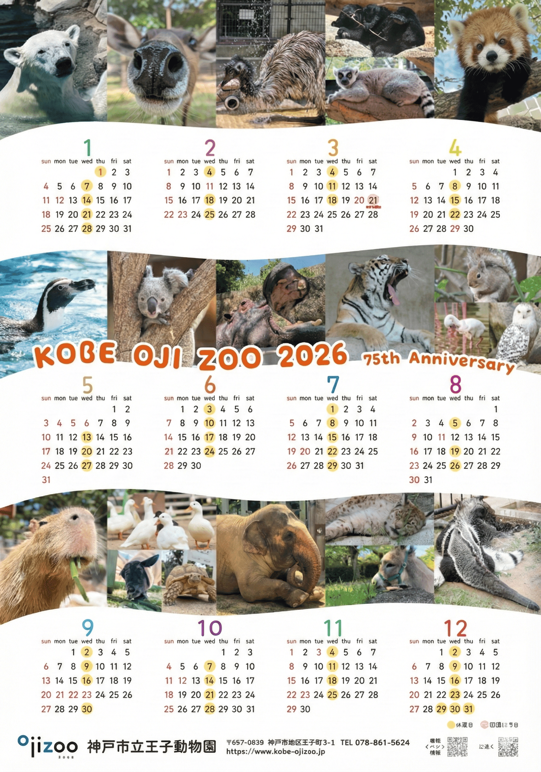 王子動物園:2026年カレンダー、新年3日間先着プレゼント!のイメージ画像
