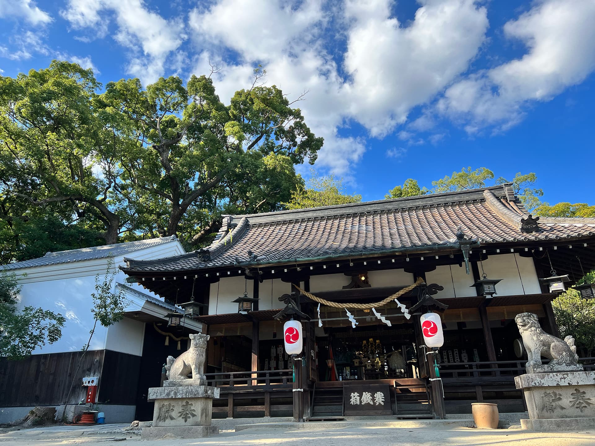 神戸ファーマーズマーケット2026冬 磯上公園・六甲八幡神社・弓弦羽神社で開催!のイメージ画像