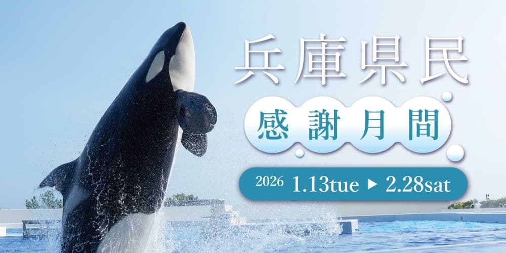神戸須磨シーワールドで特別な体験を!兵庫県民限定「感謝月間」開催のイメージ画像