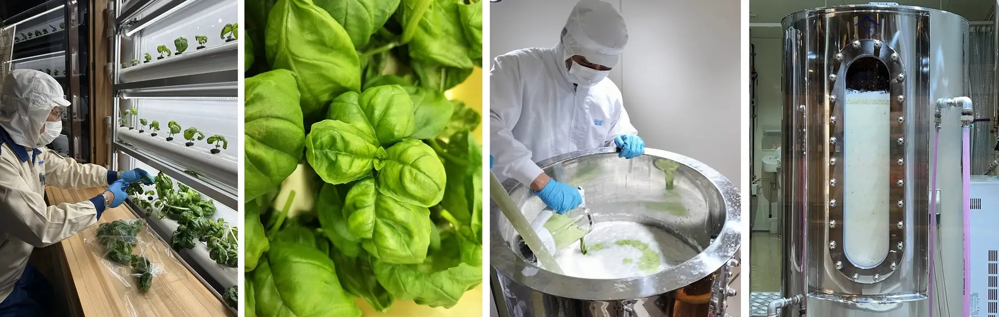 ハーブ香るSAKE誕生!白鶴酒造が発酵CO2で循環型ものづくりのイメージ画像