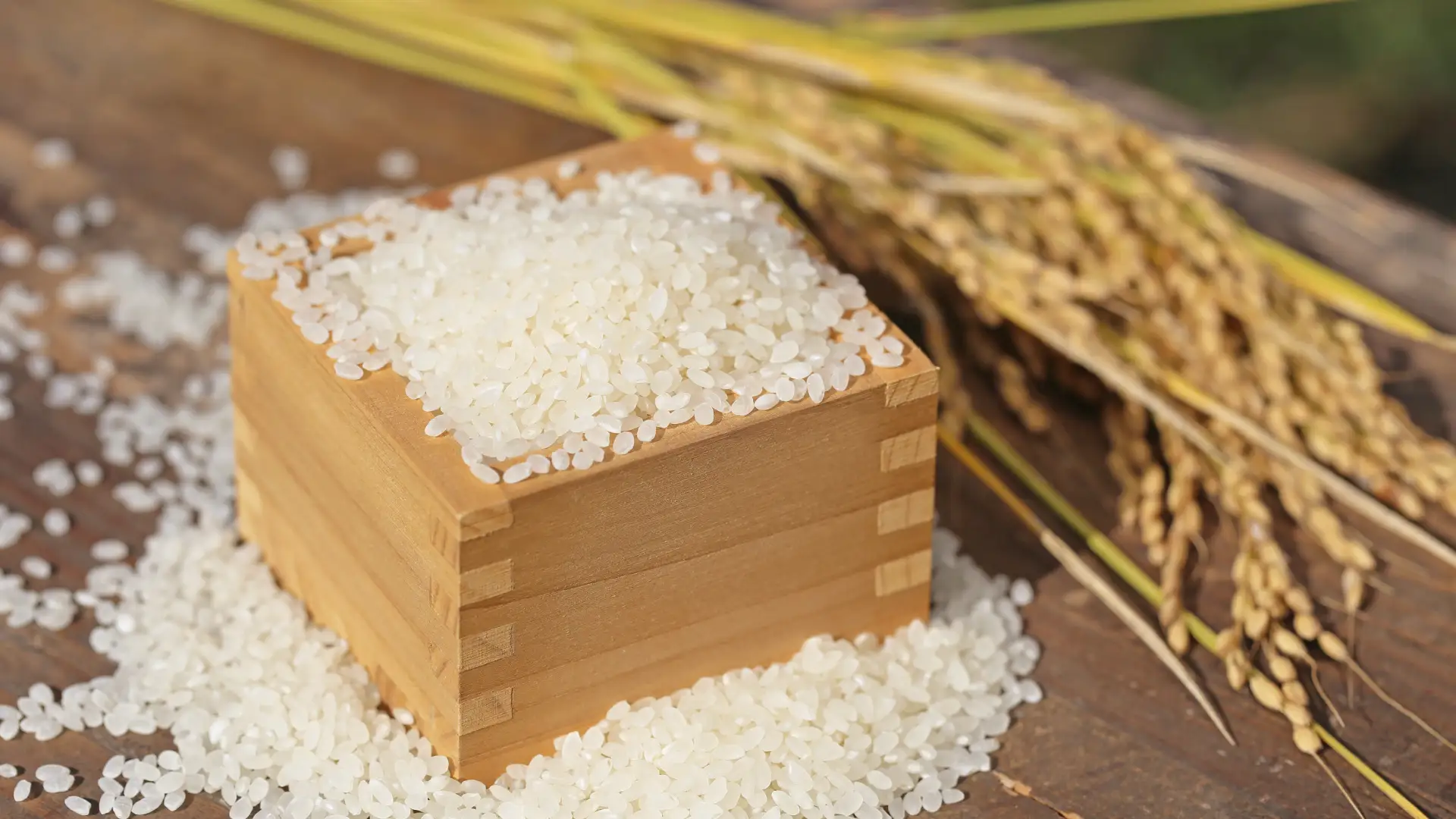 丹波篠山で法人向け田んぼオーナー制度開始!農業体験で福利厚生を充実のイメージ画像