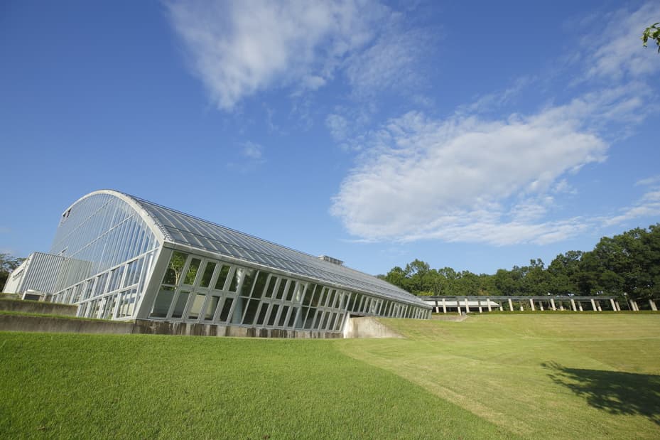 加古川 びっくり市 1/31開催!1周年記念 神戸牛・播州牛がお得のイメージ画像