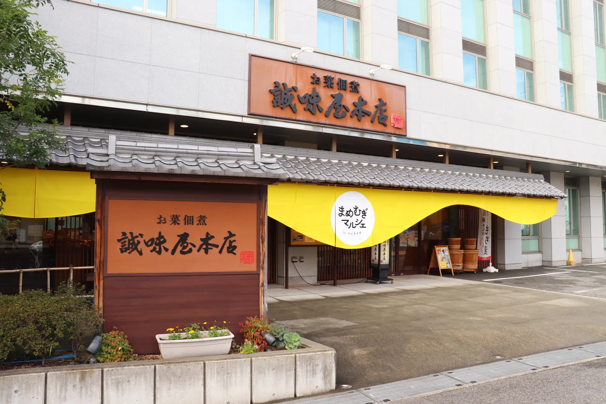 ぷちっと新食感!マルヤナギ「もち麦入り桜もち」2月限定、春の味のイメージ画像