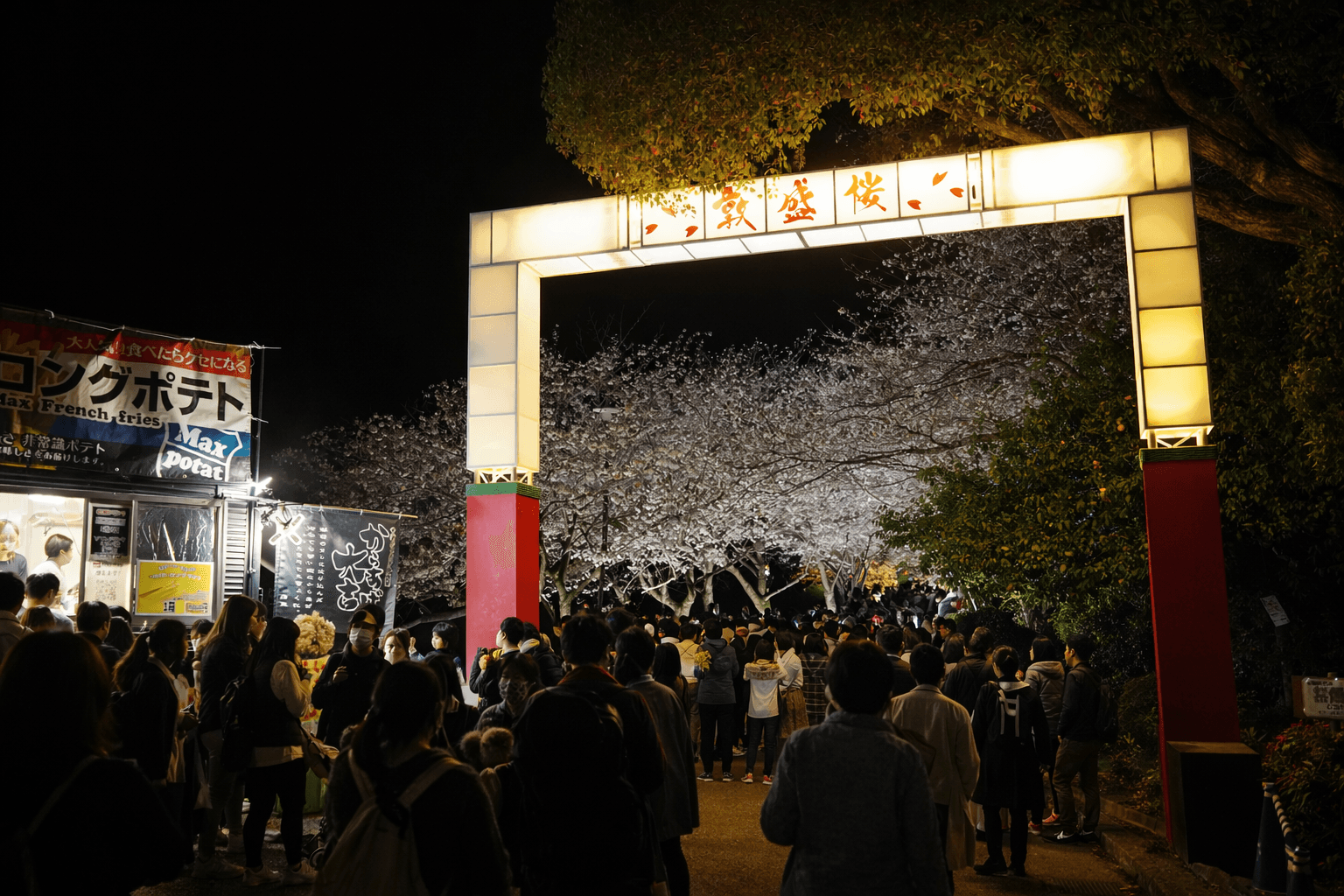 須磨浦公園「敦盛桜2026」開催!海と桜の絶景&夜桜プロジェクションのイメージ画像