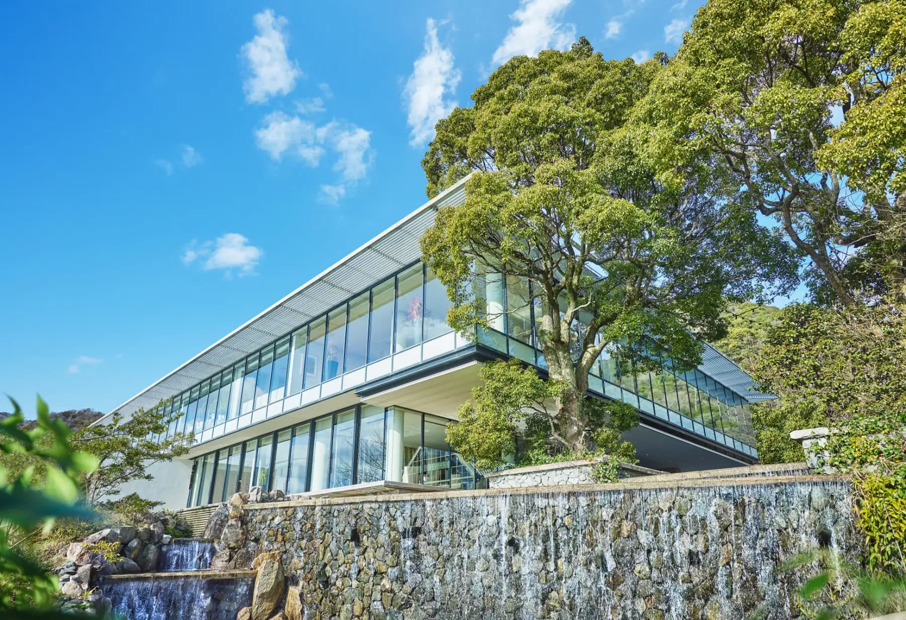 神戸 那智勝浦 生マグロ大祭り 2026 4シェフ競演 解体ショー 地元食材ものイメージ画像