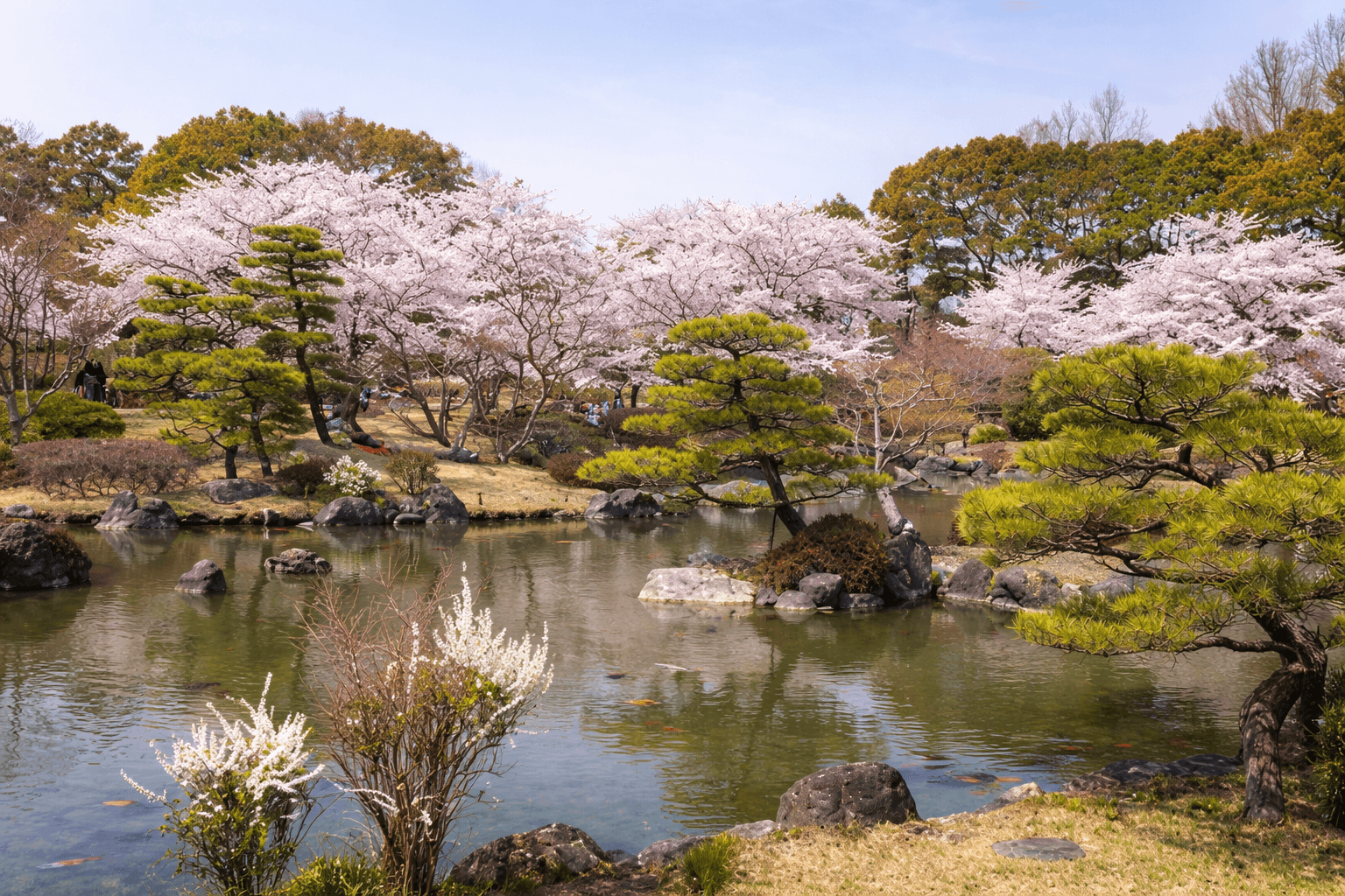 兵庫県神戸市お花見スポット20選!夜桜・屋台も楽しめるのイメージ画像