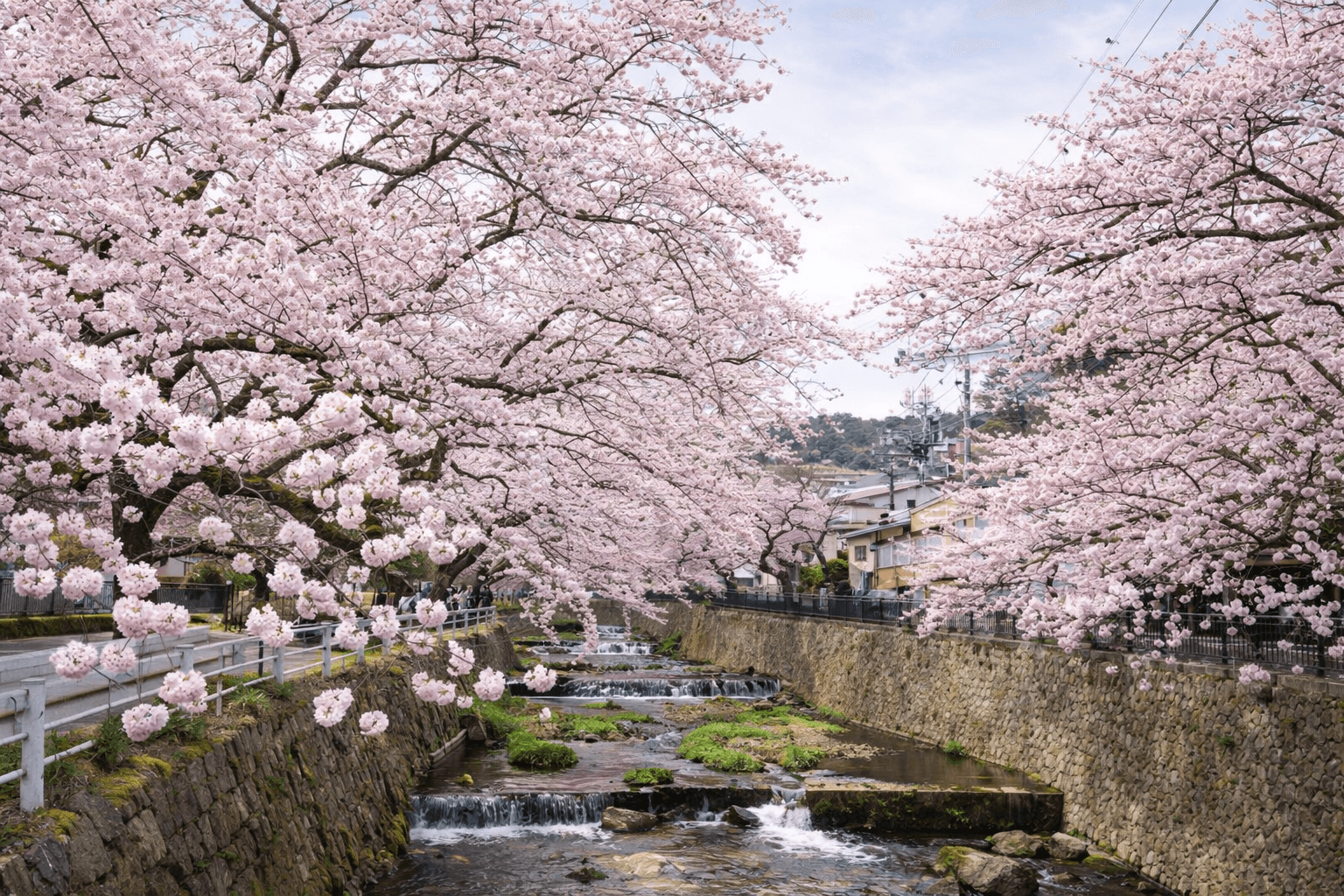 兵庫県神戸市お花見スポット20選!夜桜・屋台も楽しめるのイメージ画像