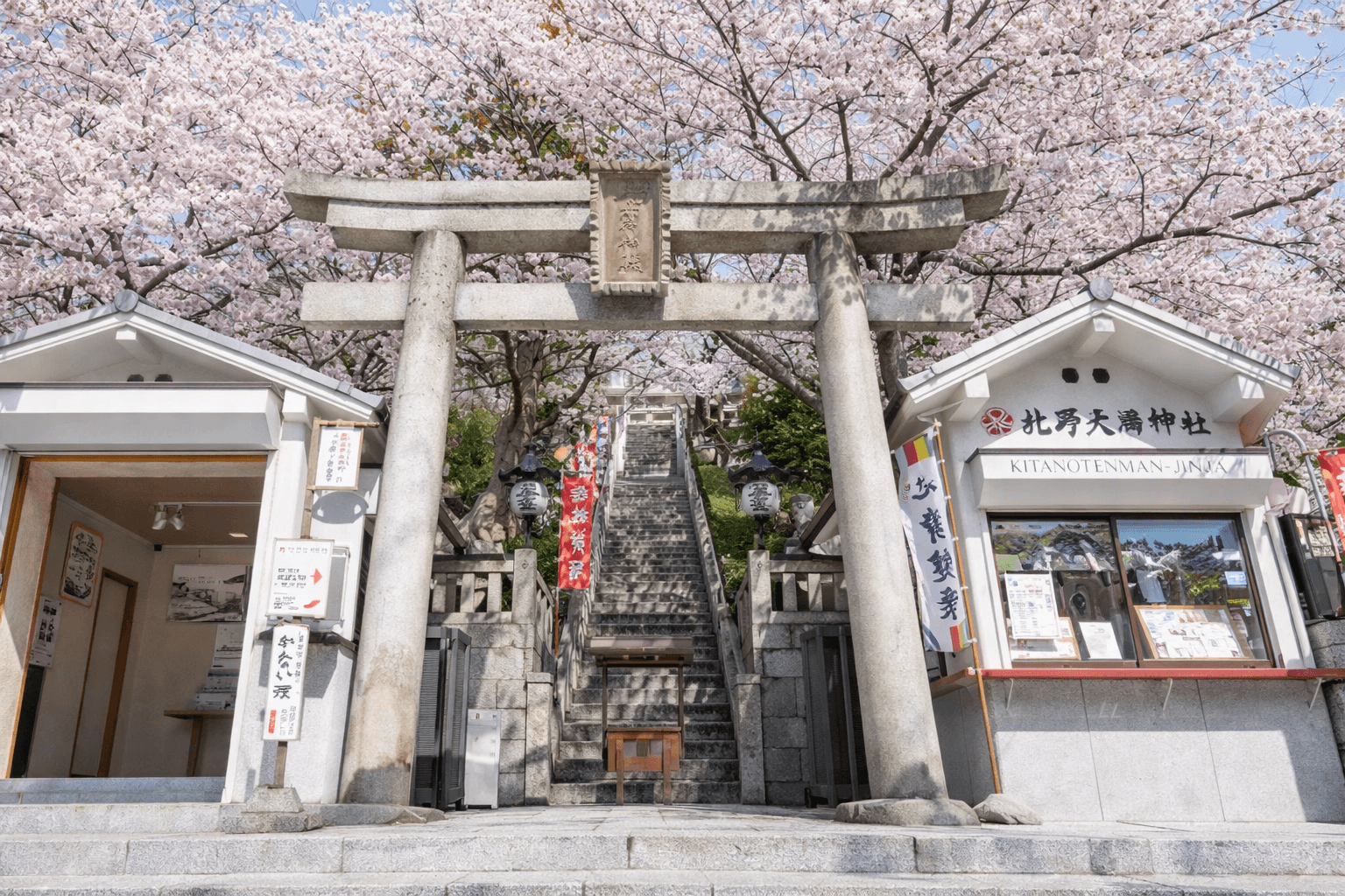 兵庫県神戸市お花見スポット20選!夜桜・屋台も楽しめるのイメージ画像