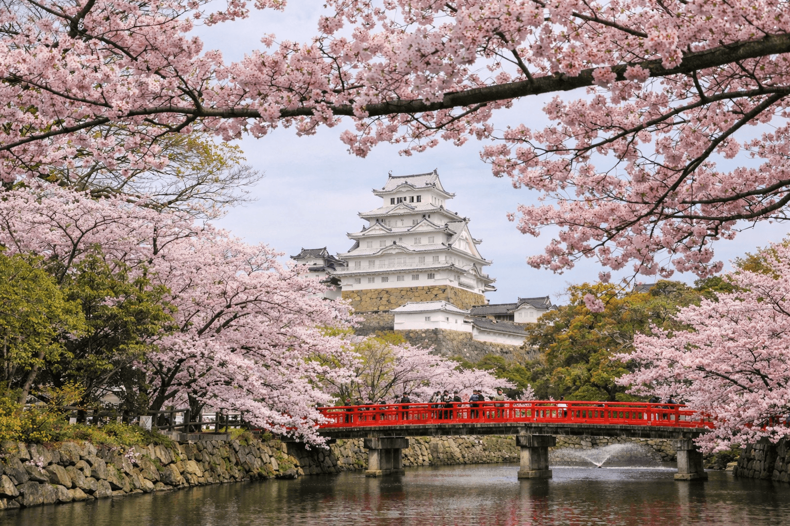 兵庫県神戸市お花見スポット20選!夜桜・屋台も楽しめるのイメージ画像