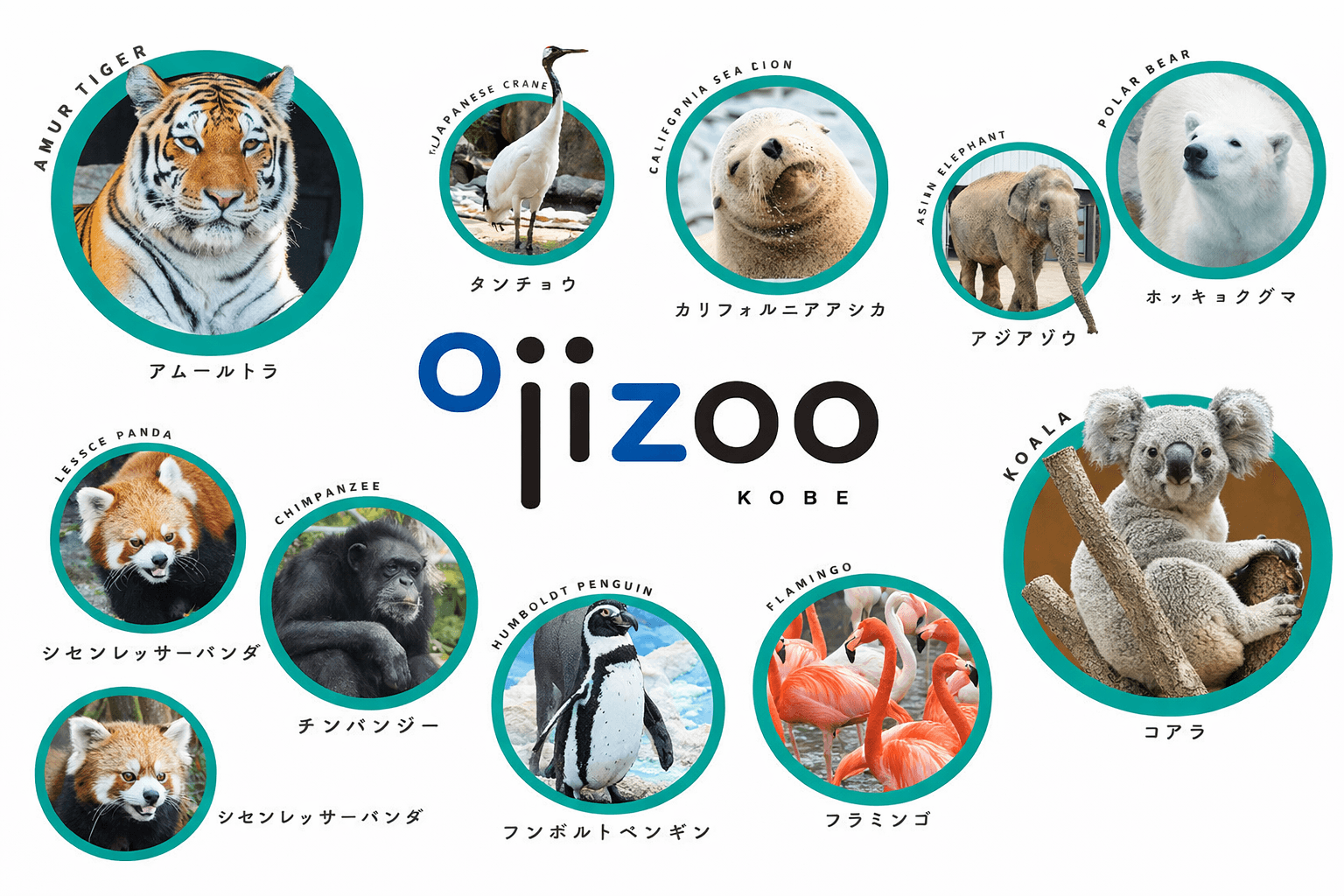 3/21は無料入園、春休みは臨時開園のイメージ画像