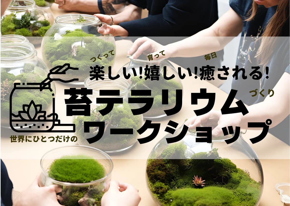 春分の日は東灘区で癒やしの植物体験!珍しい植物、ワイン、いちごが集まるイベントのイメージ画像