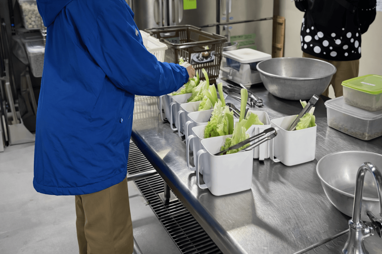 神戸アトアで飼育員体験!水族館の裏側へのイメージ画像