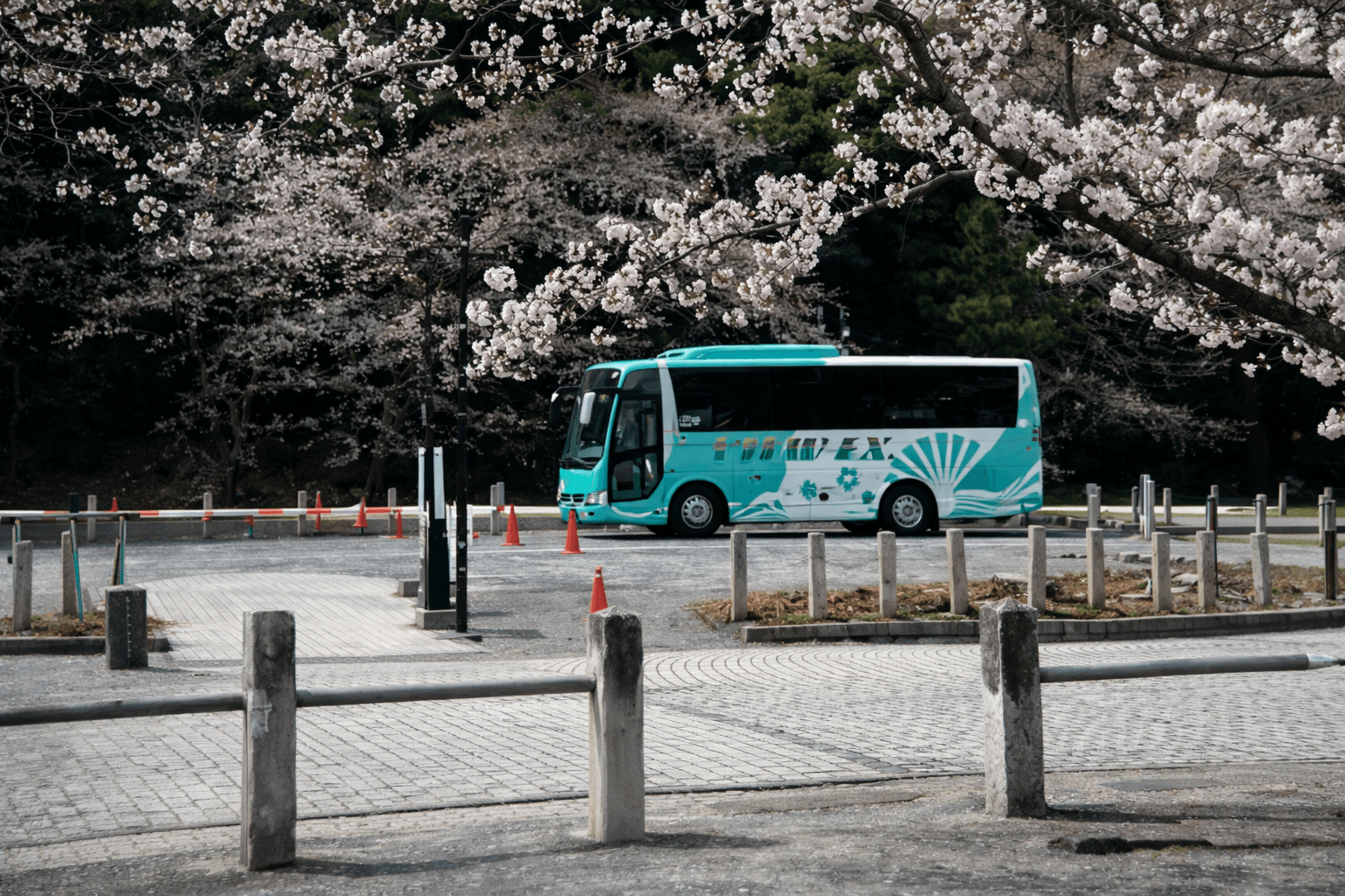幻のいちご×有馬芸妓!神戸発、文化体験バスツアーで特別な一日のイメージ画像
