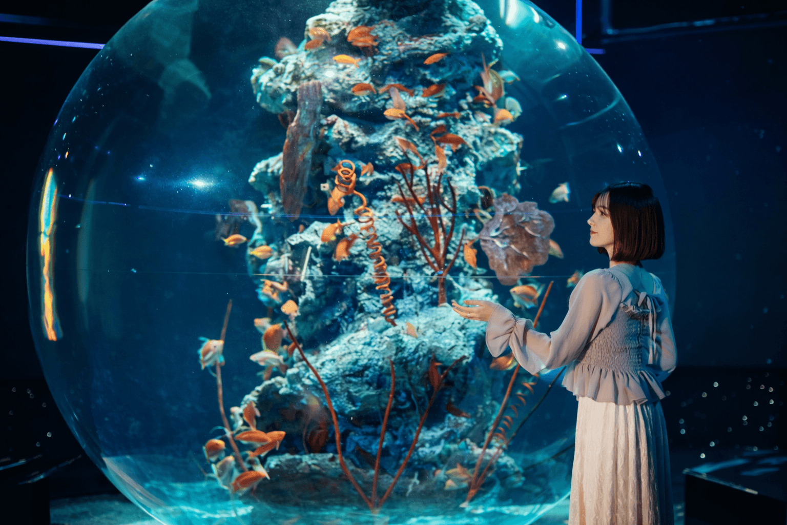 神戸アトアに新ビーバー!のいち動物公園から「ジャム」が仲間入りのイメージ画像