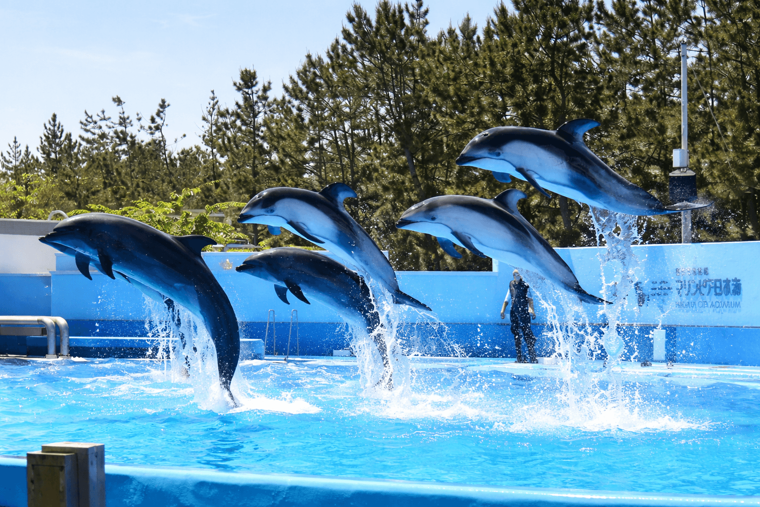 トキエア、神戸-新潟線で25歳以下限定『春パス』キャンペーン実施のイメージ画像