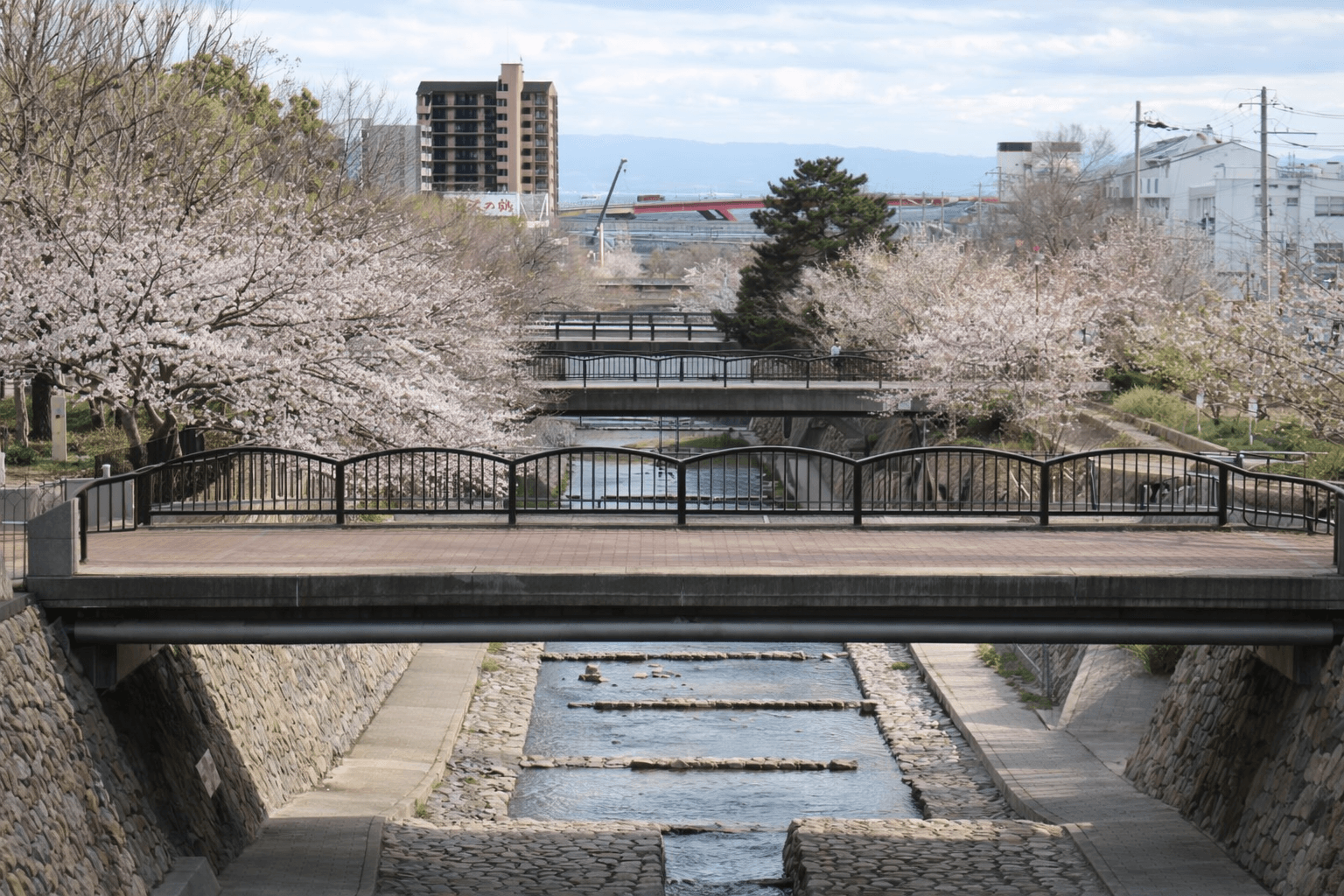 神戸 灘「桜まつり 2026」都賀川公園 模擬店・ステージイベント開催のイメージ画像