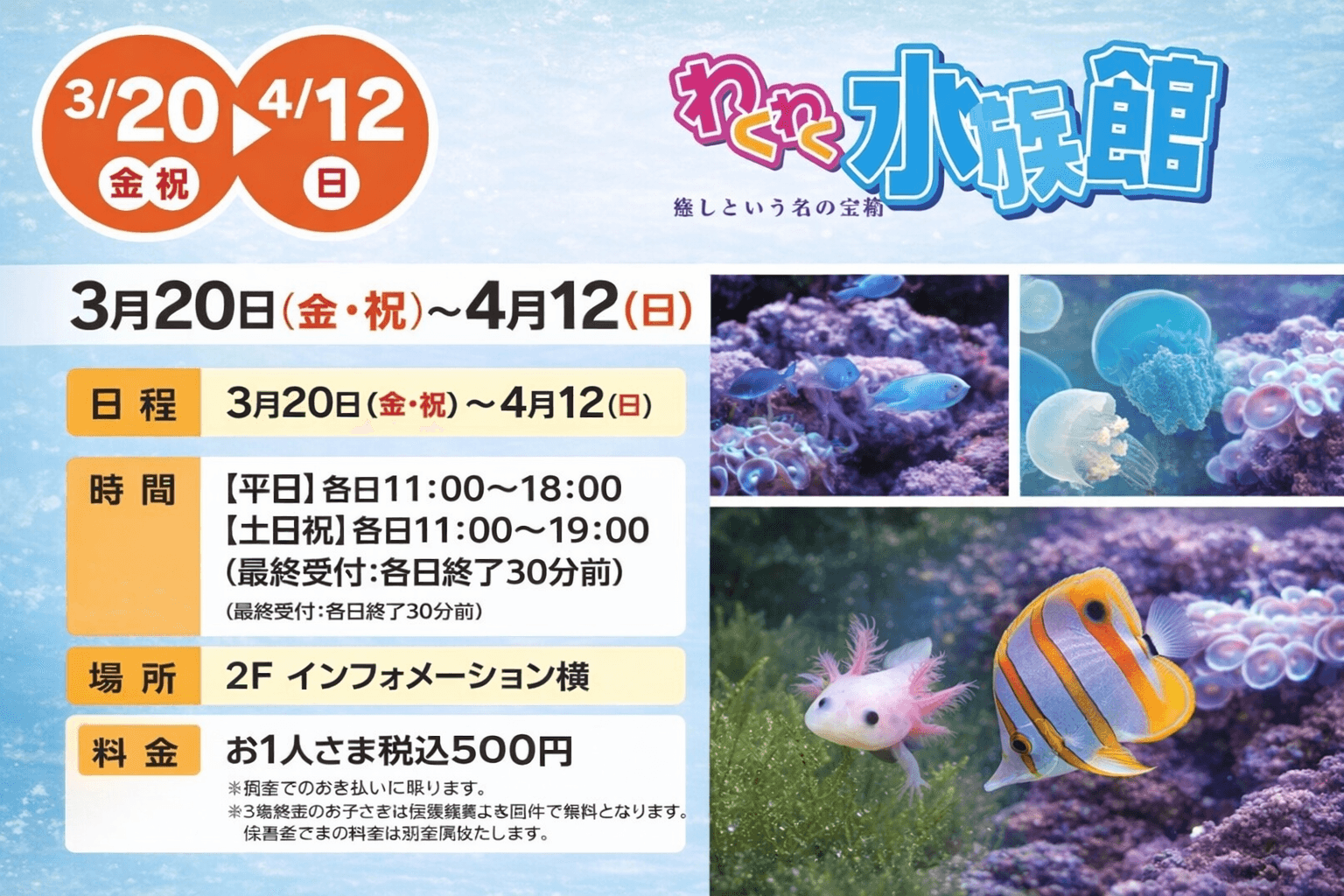 飾磨区・リバーシティーで「わくわく水族館」開催!4月12日までのイメージ画像